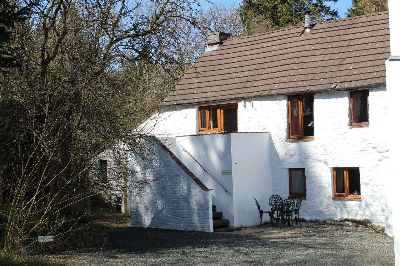 Ghyll Burn Cottage And Barn End Cottage Олстон Екстер'єр фото